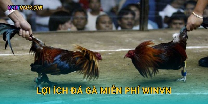 Lợi ích đá gà miễn phí WINVN
