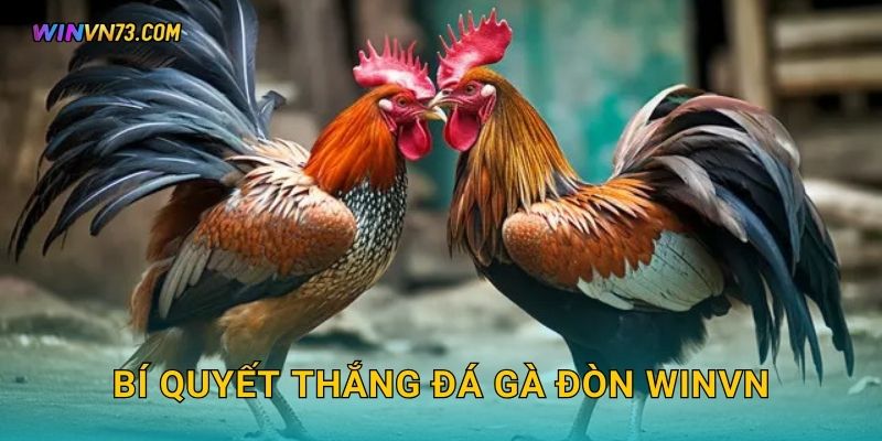 Bí quyết thắng đá gà đòn WINVN