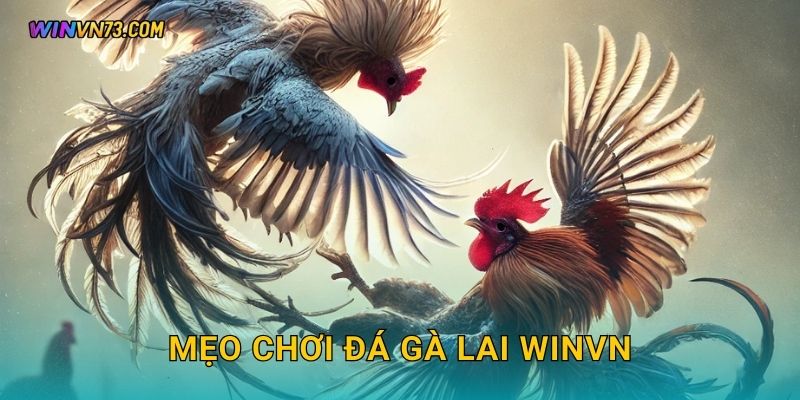 Mẹo chơi đá gà lai WINVN